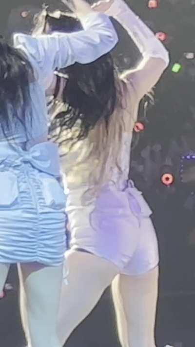 Momo jiggle