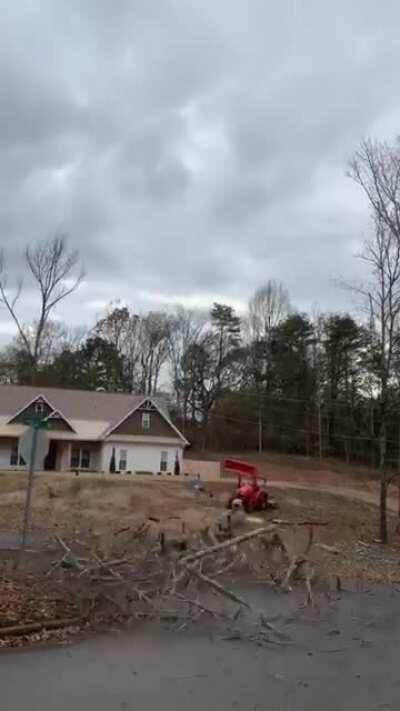 Dead tree completely falls apart when it hits asphalt