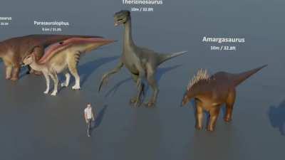 Video I saw comparing a human to the size of many known dinosaurs