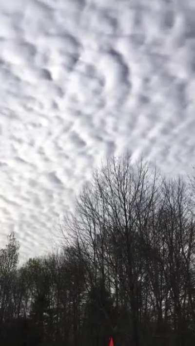 Strange cloud formation covering the sky