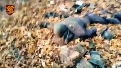 Ukrainian Paratroopers destroyed the assault group of Russian courtesy of the 155th brigade 