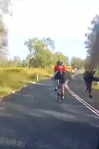 Cycling with friends on a quiet country road. WCGW?