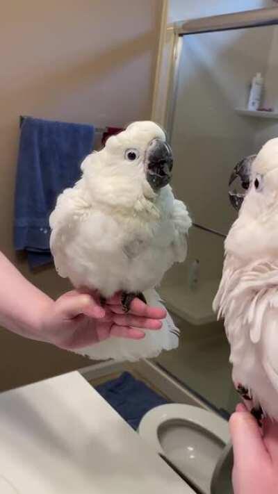 Lenny sees himself in the mirror for the first time