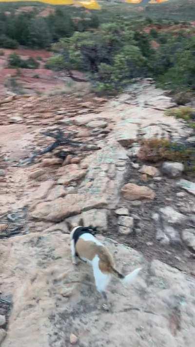 🔥Soldier’s Pass dog walk Sedona, Arizona