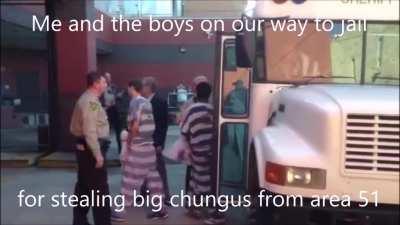 me and the boys on our way to jail for stealing big chungus