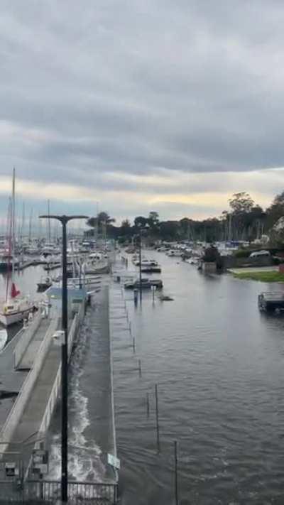 Santa Cruz harbor parking lot, after tsunami warning