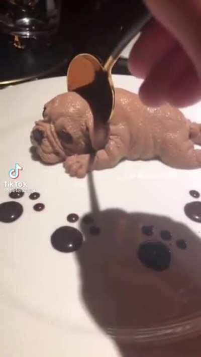 Puppy ice cream