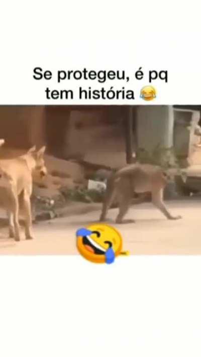 Quem tomou nunca esquece.