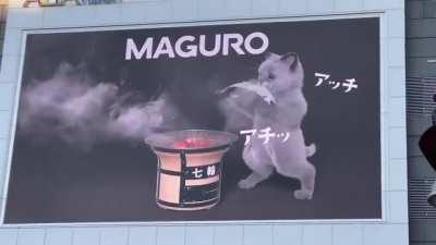 3D billboard cats are now appearing all around Japan