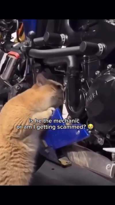 Probably the best mechanic in town! 😂