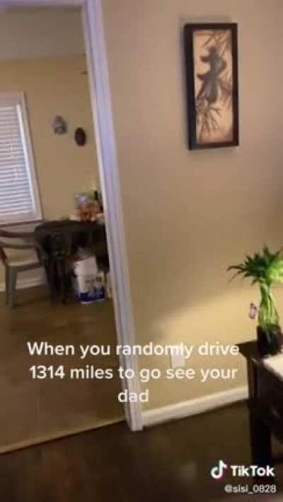 Mother drives 1314 miles to see her parents.