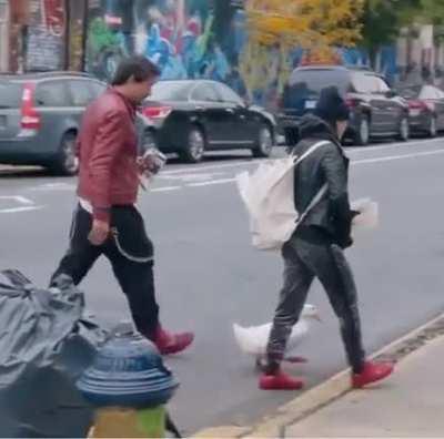 The duck from the NYC marathon with her buddies... they all wear red shoes