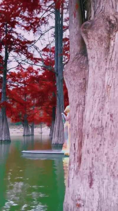 The Sukko Anapa lake forest in Russia looks straight up from a fairytale