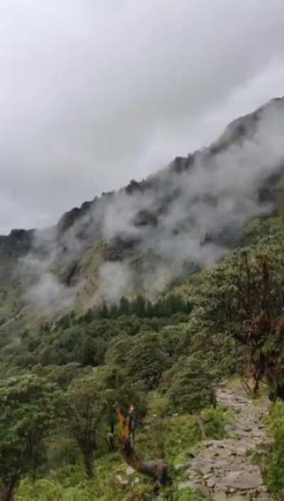 Trek to Rudranath Temple (Uttarakhand, India) during the monsoons