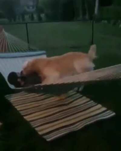 Chilling in the hammock after a long day