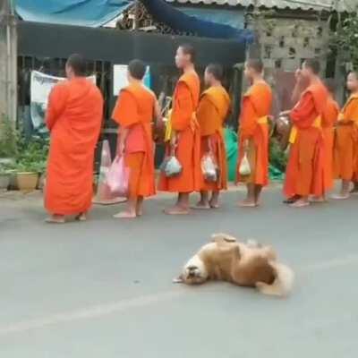 Derping in public to the beat of chanting monks