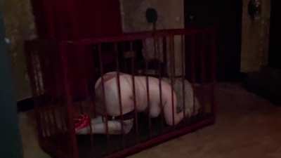 Caged, spanked and left for hours with a dog bowl