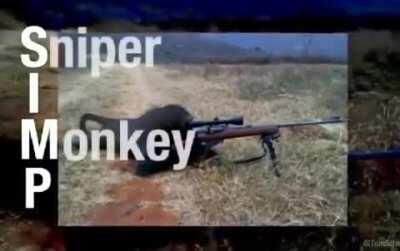 Gun Monkee