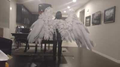 Wings cosplay costume looks unreal