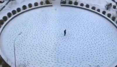 Bored man walks in circles on the snow