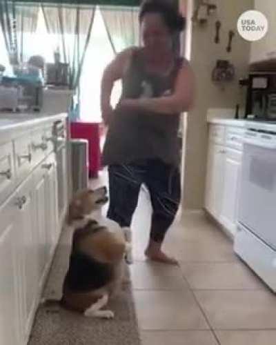 Dancing dog...