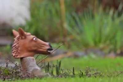 This horse headed squirrel feeder