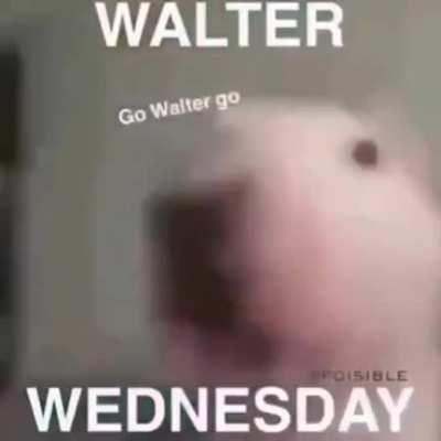 Walter Wedsnday