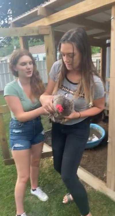 My friend attempts to hold a chicken