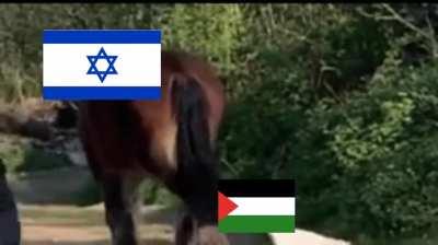 Israeli-Palestenian war be like: