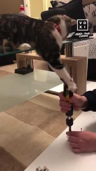 Screwdriver helper