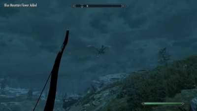 Remember. The dragon born is not the only main character in Skyrim. So is the this giant ridding a dragon