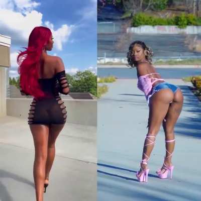 Ebony Twerk Compilation