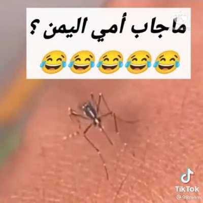 That poor mosquito