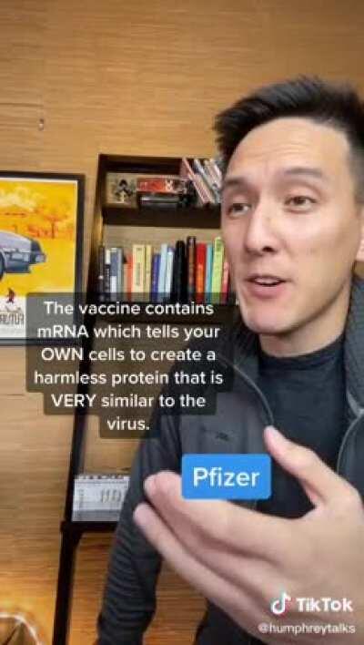 How the Pfizer COVID nRNA vaccine actually works