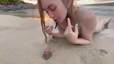 Beach blowjob while exploring nature