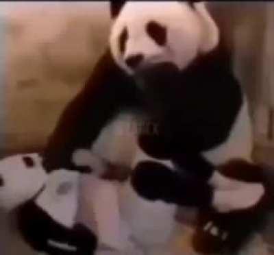 F panda