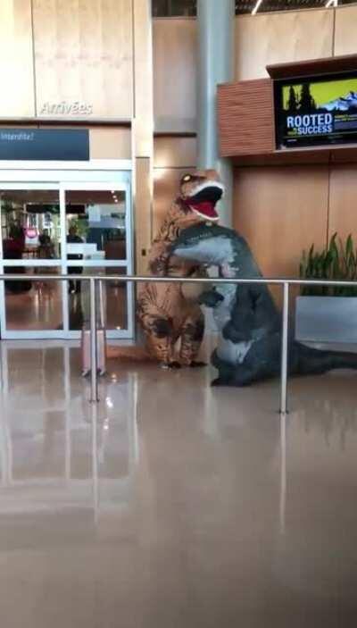 These grandkids planned to surprise grandma at the airport dressing as T-Rex but she heard about it and planned her own surprise.