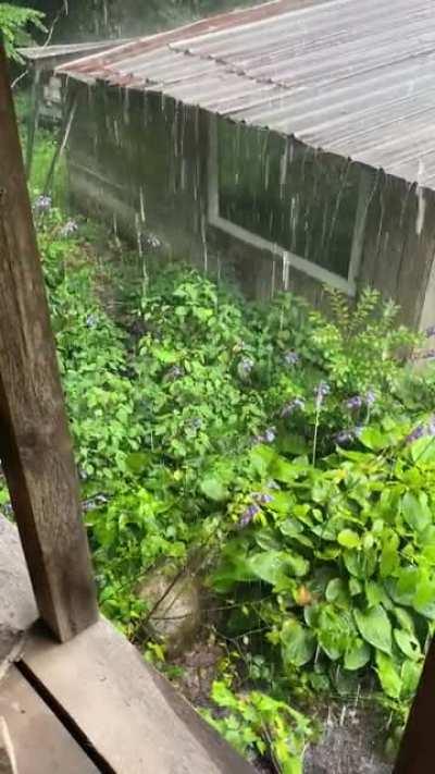 Georgia summer rain on an old tin roof