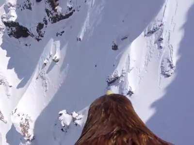 The golden eagle takes us on a scenic journey over the snow-capped peaks