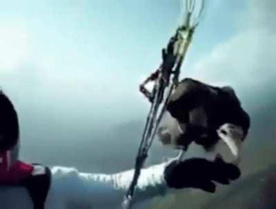 Bird takes a pitstop on parachutist's arm