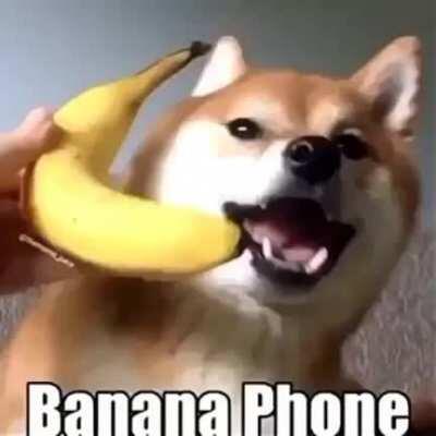 banana phone!!! pd: this is not repost i deleted the other posts