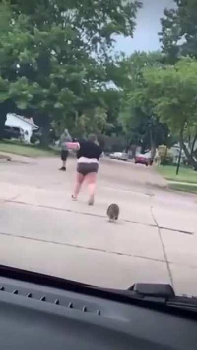 Raccoon wins this round