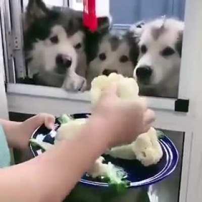 Cauliflower is their favorite