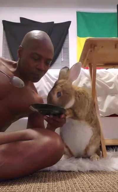 This man sharing with his Flemish Giant rabbit