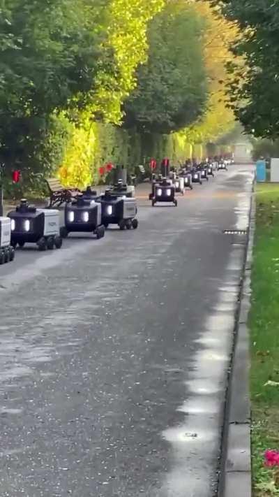 Delivery Robots migrate through Gorky Park, Moscow