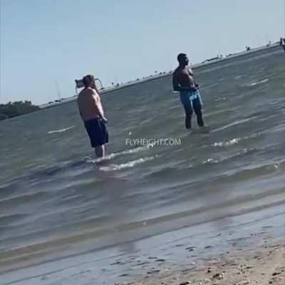 A Totally Normal Day At The Beach Until Someone Takes A Kick To The Jaw