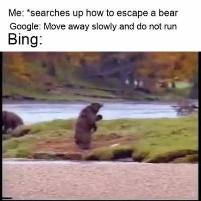 😍 The name is Bing. Microsoft Bing : memes