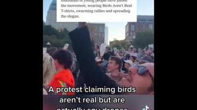 Thousands of people attend a ‘Birds Aren’t Real’ Protest in NYC