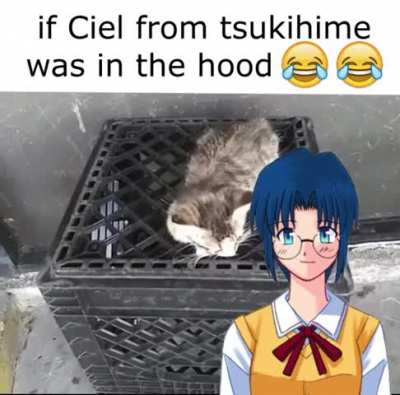 if ciel from tsukihime was in the hood