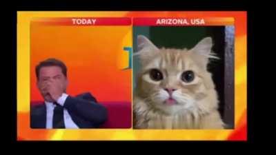 Alright. Who's cat attended live interview today?